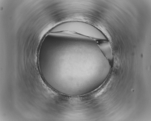 X0000088600944200706081349