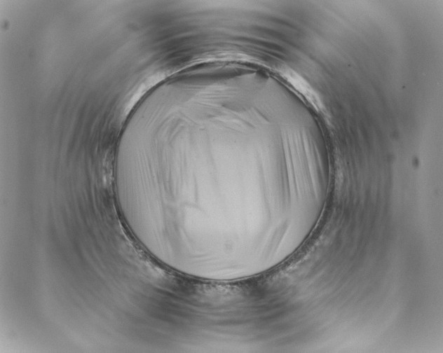 X0000088600945200706081349