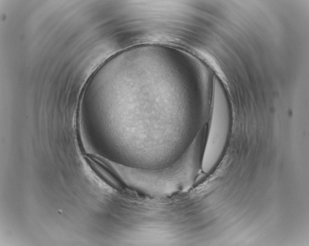 X0000088600946200706081349