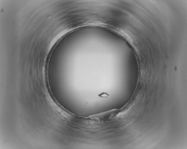 X0000088600947200706081349