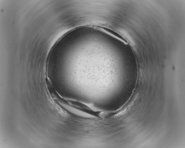 X0000088600948200706081349