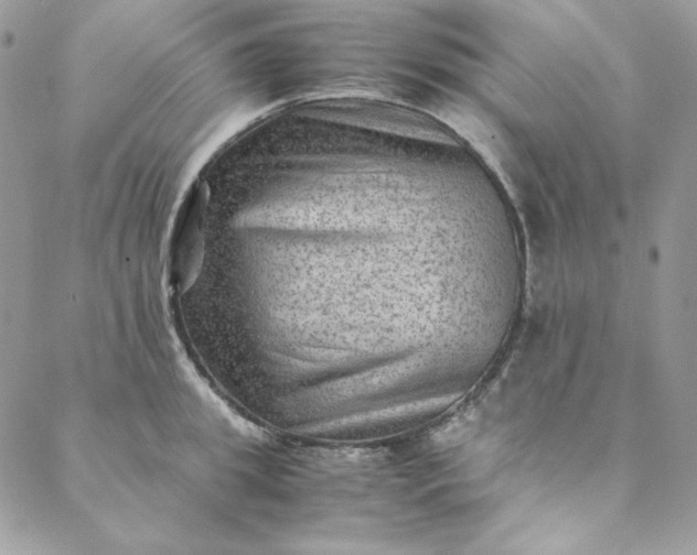 X0000088600949200706081349