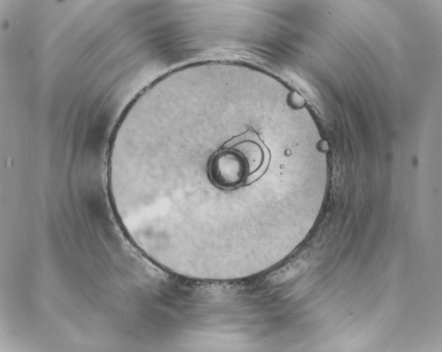 X0000088600950200706081349