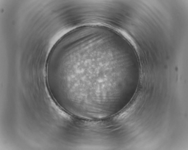 X0000088600951200706081349