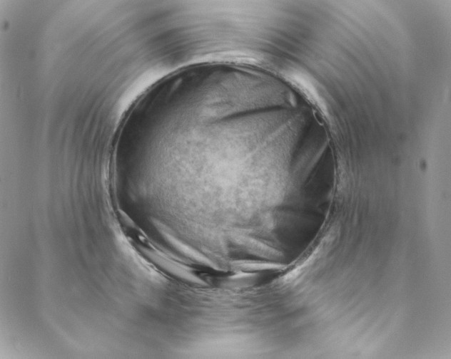 X0000088600952200706081349