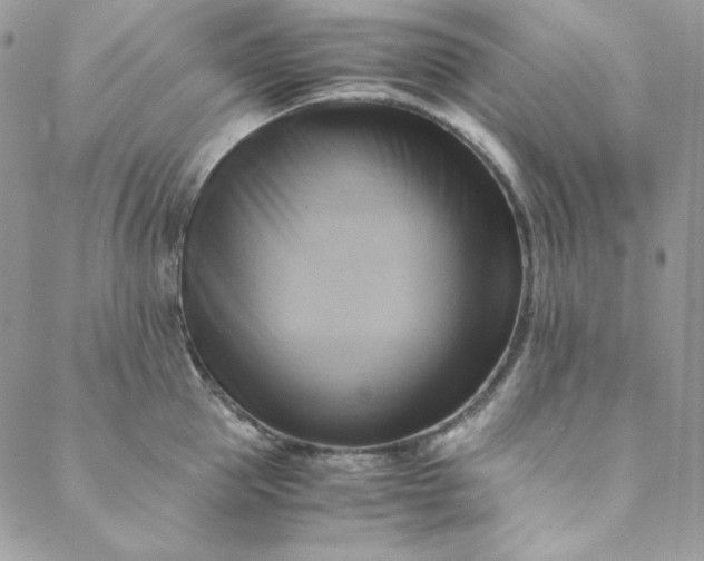 X0000088600953200706081349