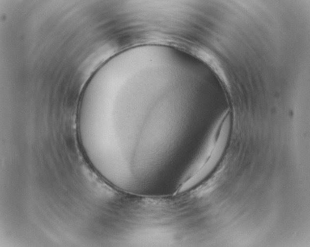 X0000088600954200706081349