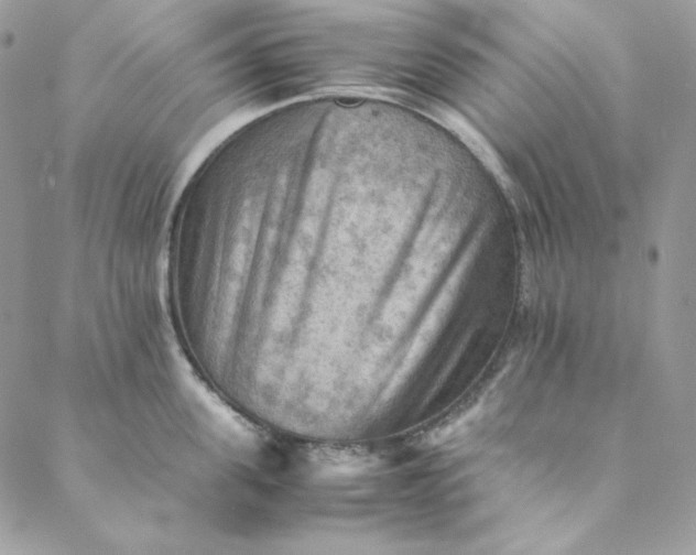 X0000088600955200706081349