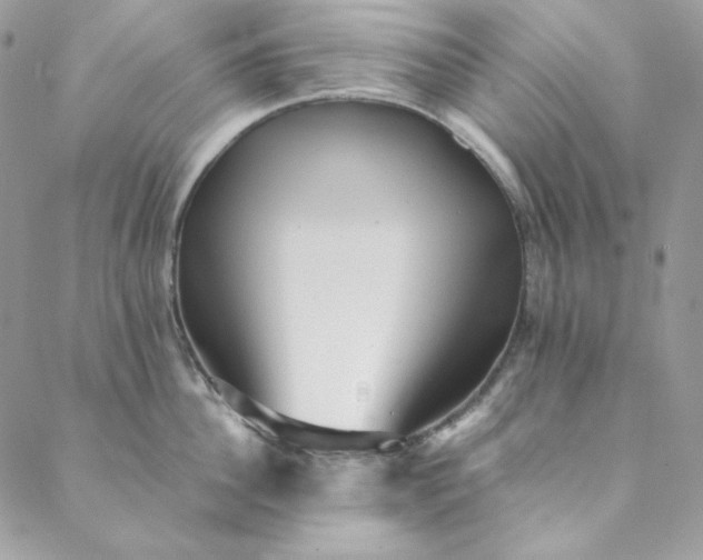 X0000088600956200706081349