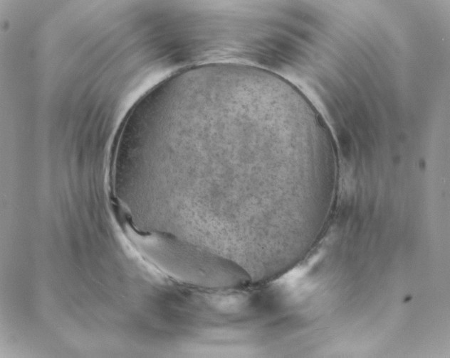 X0000088600957200706081349