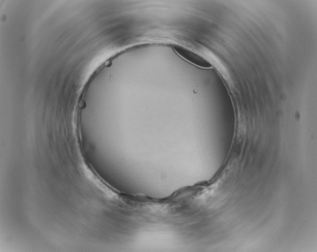 X0000088600958200706081349