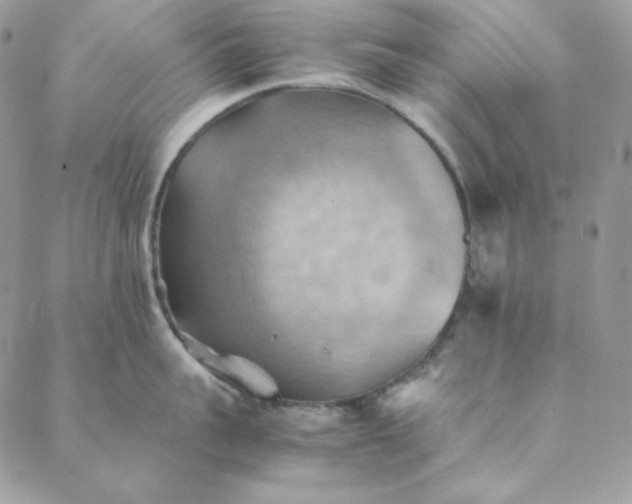 X0000088600959200706081349