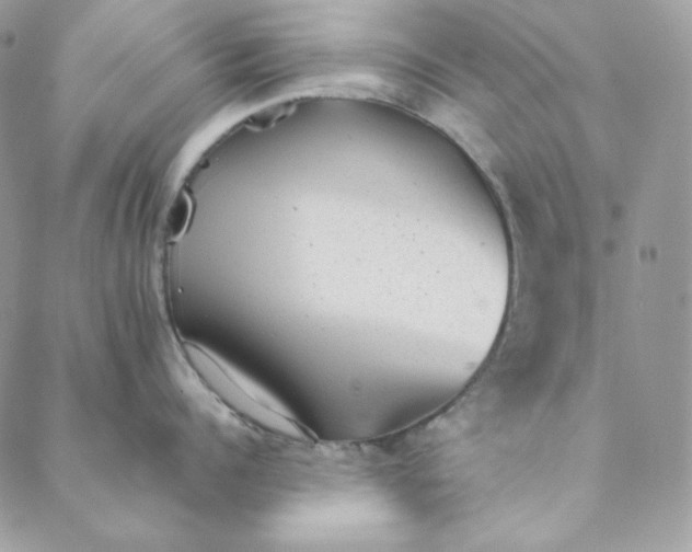 X0000088600960200706081349