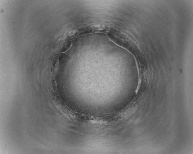 X0000088600961200706081349