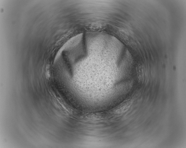 X0000088600962200706081349