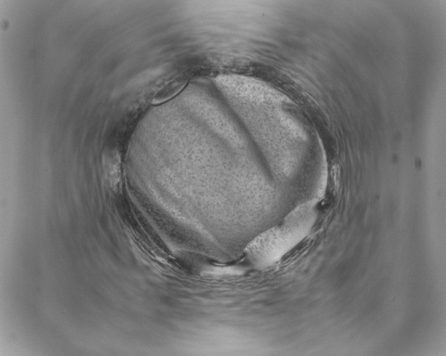 X0000088600963200706081348