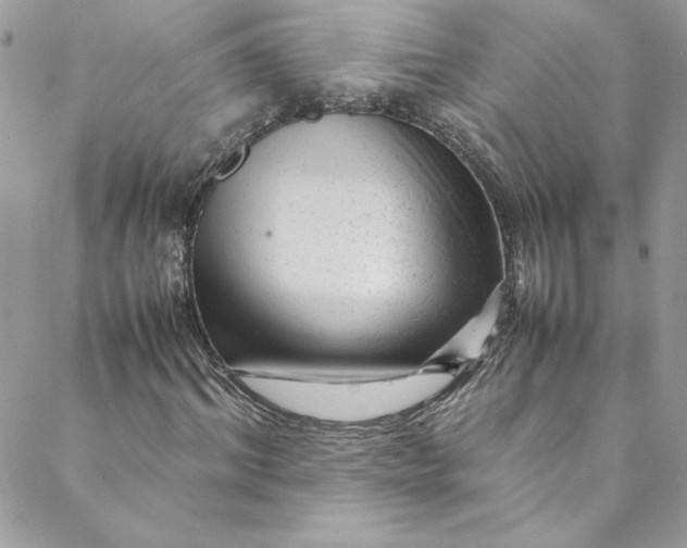 X0000088600964200706081348