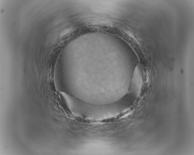 X0000088600965200706081348