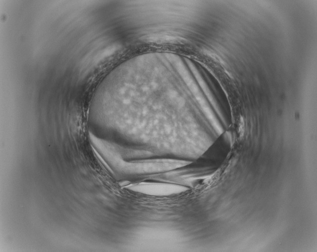 X0000088600966200706081348