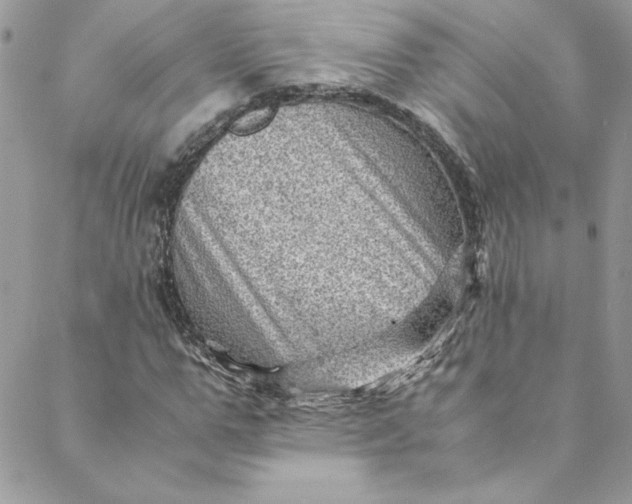 X0000088600967200706081348