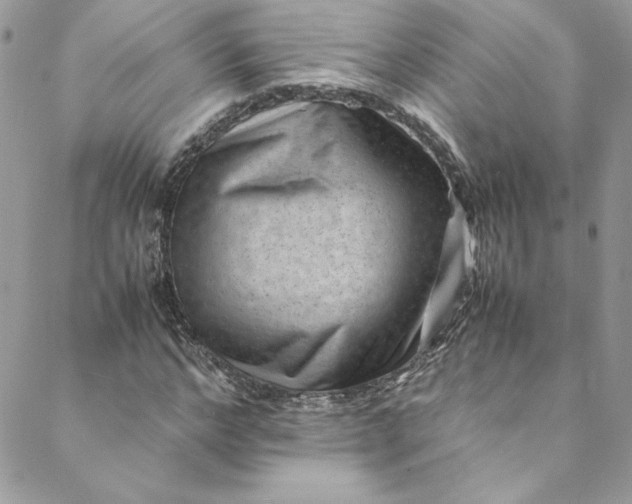 X0000088600968200706081348