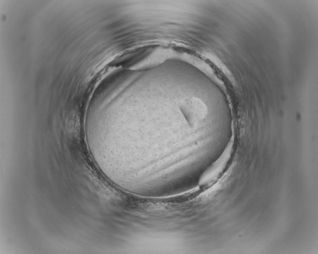 X0000088600969200706081348