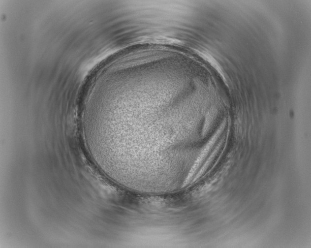 X0000088600971200706081348