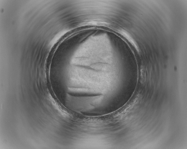 X0000088600972200706081348