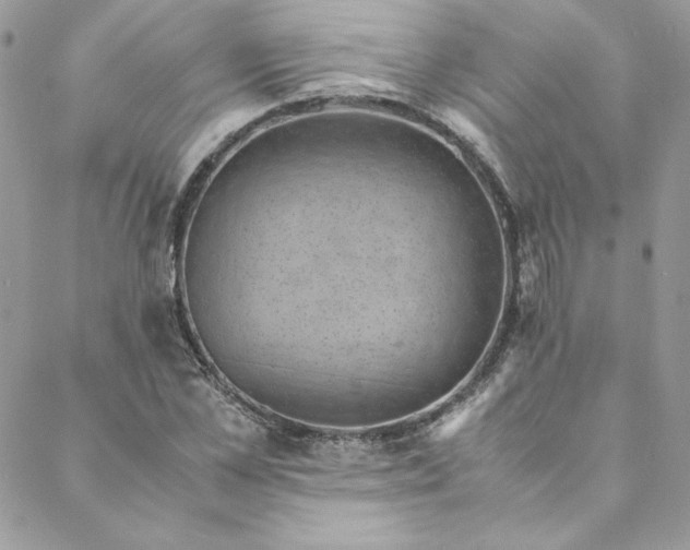 X0000088600973200706081348