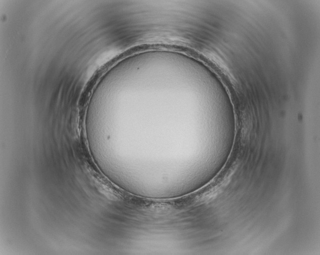 X0000088600974200706081348