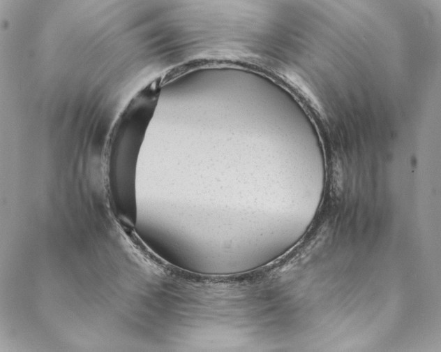 X0000088600976200706081348