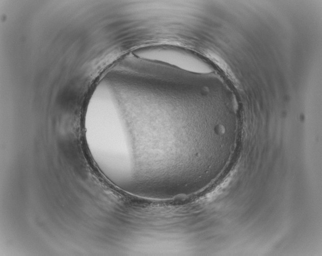 X0000088600977200706081348