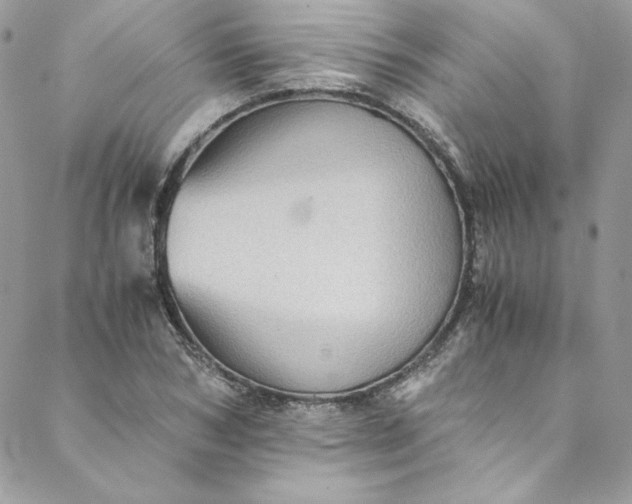 X0000088600978200706081348