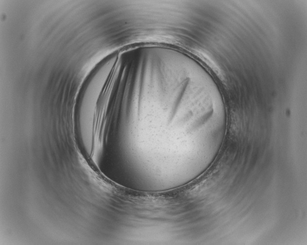 X0000088600980200706081348