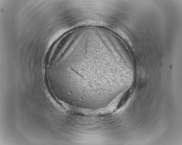 X0000088600981200706081348