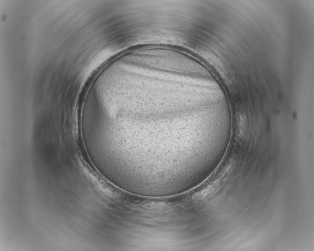 X0000088600982200706081348