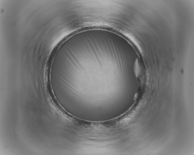 X0000088600983200706081348