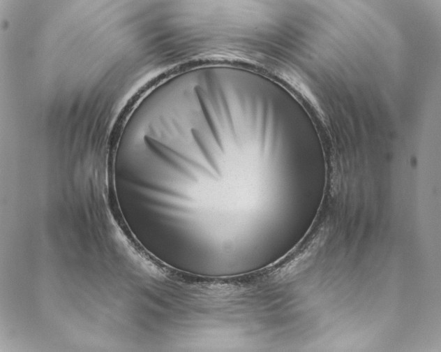 X0000088600984200706081348