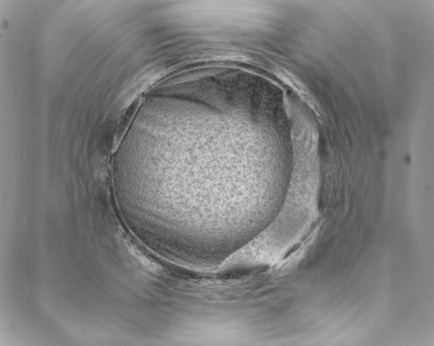 X0000088600985200706081348