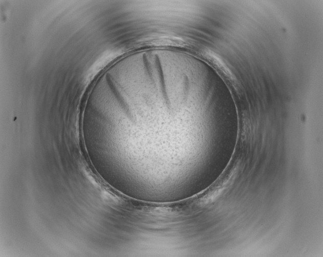 X0000088600986200706081348