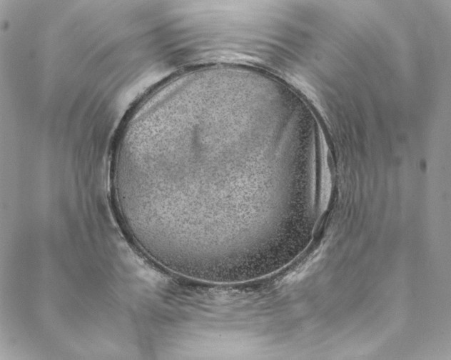 X0000088600987200706081348