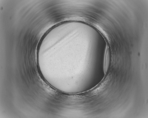 X0000088600988200706081348