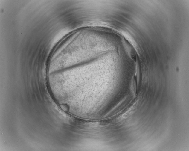 X0000088600990200706081348