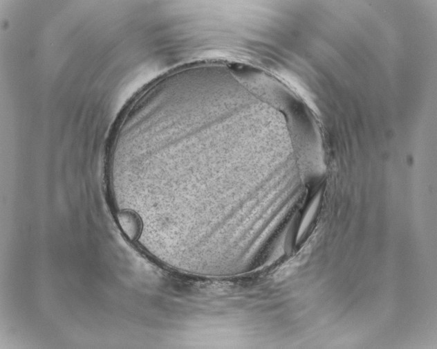 X0000088600991200706081348