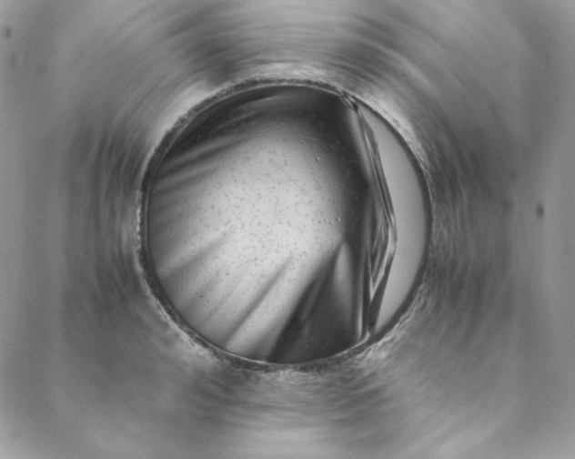 X0000088600992200706081348