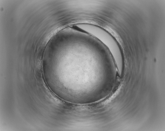 X0000088600993200706081348