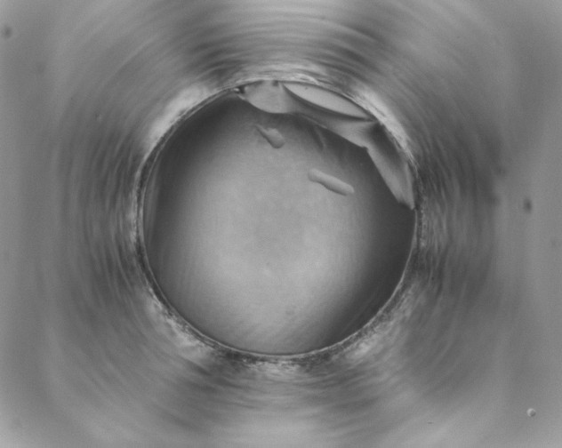 X0000088600994200706081348