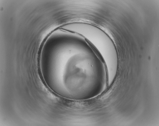 X0000088600995200706081348