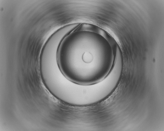 X0000088600996200706081348