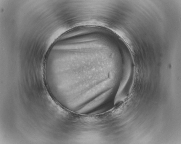 X0000088600998200706081348